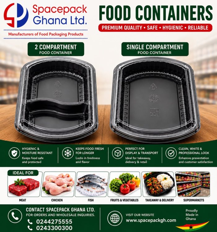 Food Container 1